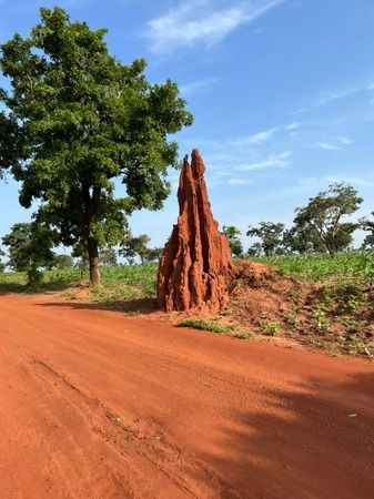 SALİH's GÖZÜNDEN NİJERYA