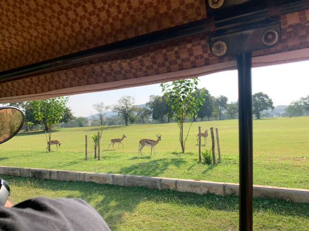 SALİH's GÖZÜNDEN NİJERYA