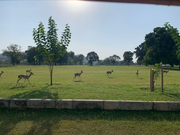 SALİH's GÖZÜNDEN NİJERYA