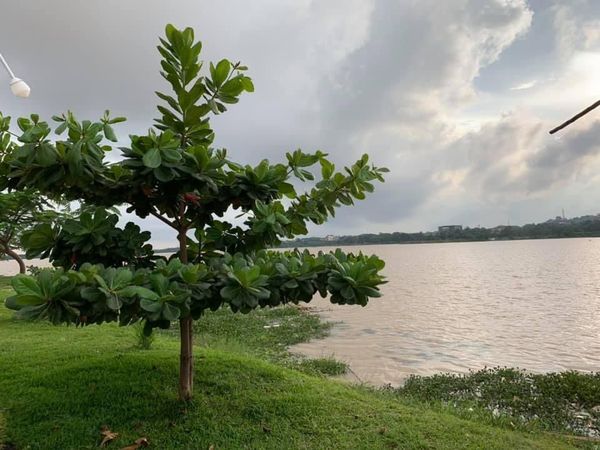 SALİH's GÖZÜNDEN NİJERYA