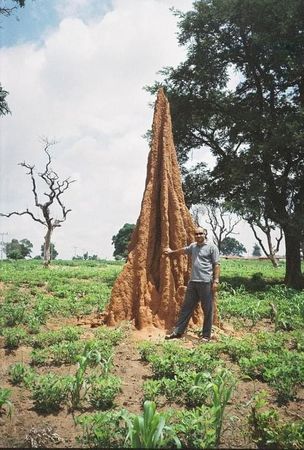 SALİH's GÖZÜNDEN NİJERYA
