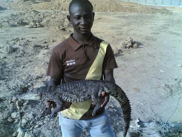 SALİH's GÖZÜNDEN NİJERYA