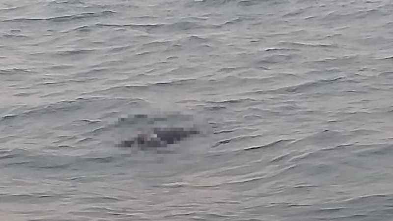 Sahilde ceset bulundu!