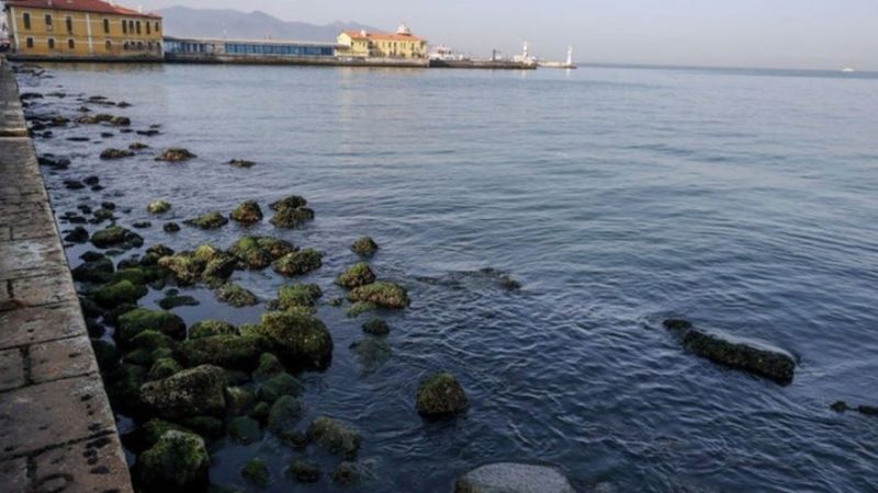 Genç Anne Oğlunu Denize Attı!