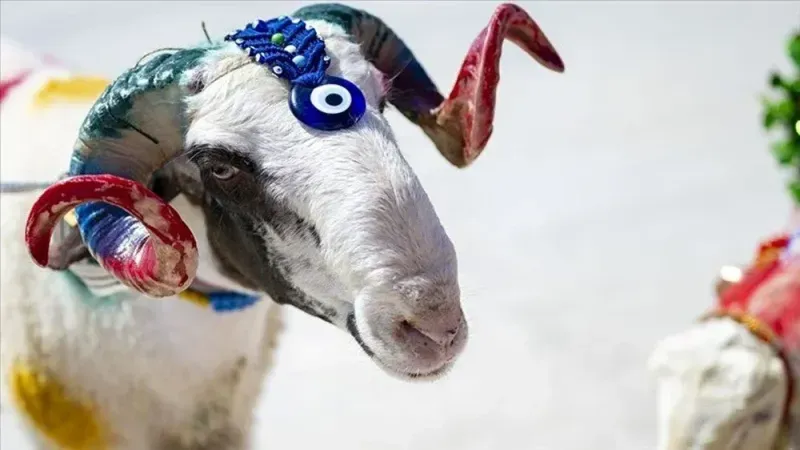 Kurban Bayramı Mesajları 2025: Sevdiklerinizi Mutlu Edin