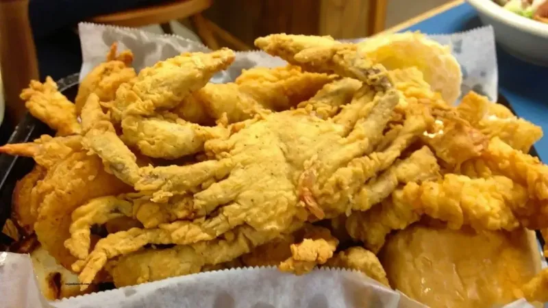 Yengeç Nasıl Pişirilir? Yengeç Pişirmenin Püf Noktaları