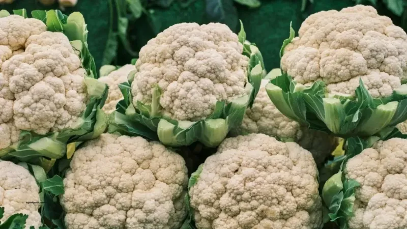 Karnabahar Faydaları Nelerdir? Haşlama Karnabahar ve Karnabahar Suyu