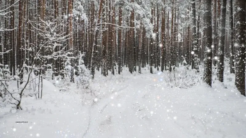 Rüyada Kar Yağdığını Görmek Neye İşarettir?