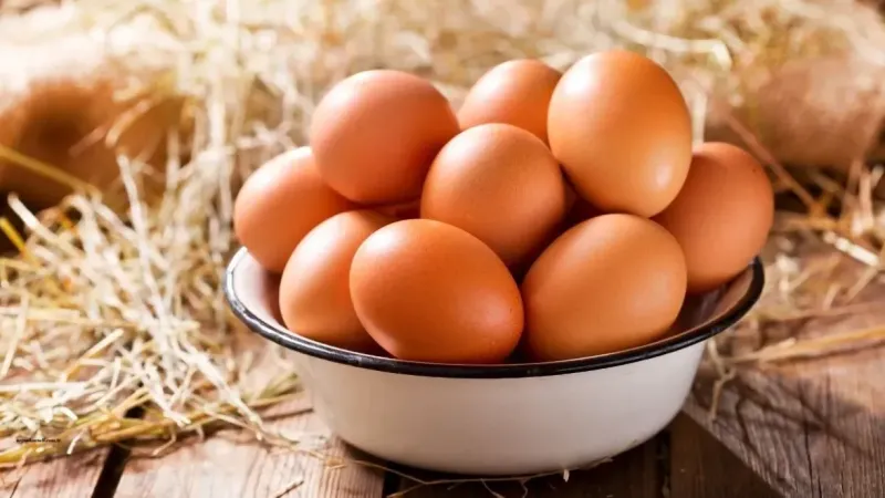 Rüyada Yumurta Görmek Ne Anlama Gelir?