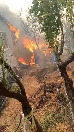 Karamürsel'den Acı Görüntüler! 