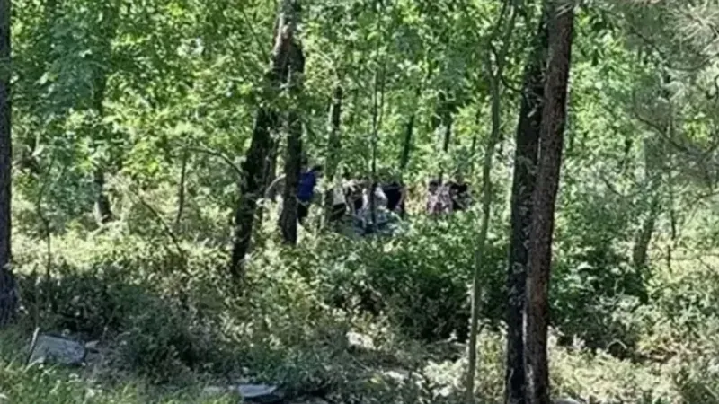 İşe götüreceğim dediği kadını ormana götürdü