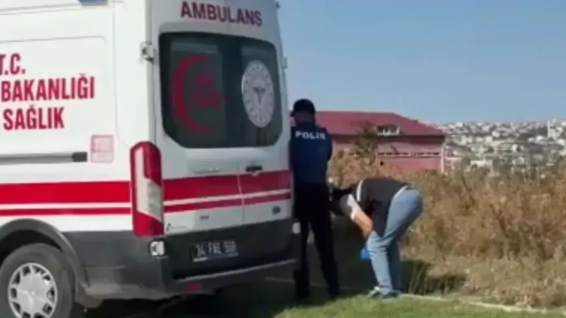 Yol kenarında ceset bulundu