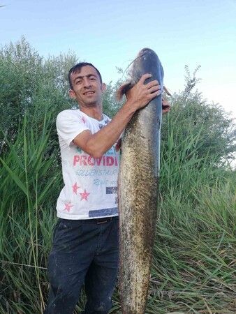 Sakarya Nehri'nden öyle bir şey çıktı ki!