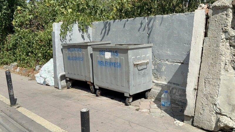 Çöpte Yanmış ve Kesilmiş Bebek Cesedi Bulundu