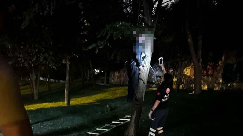 Ağaçta asılı ceset bulundu