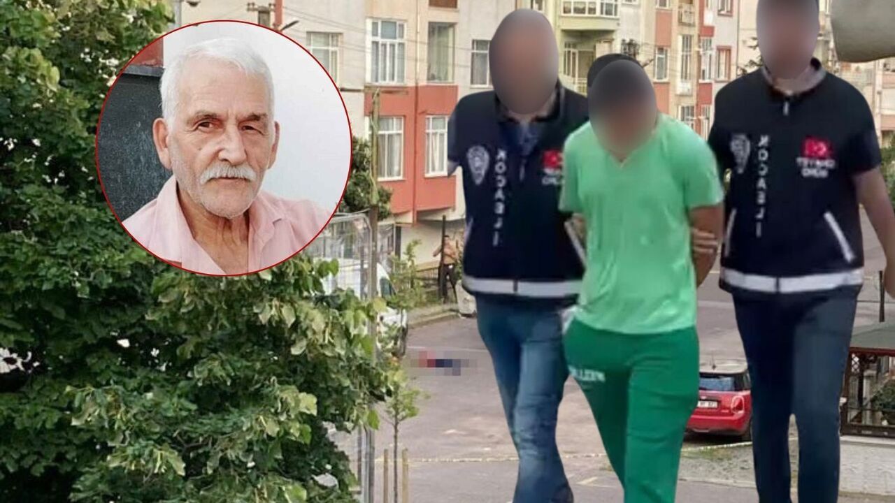 Yaşlı adamı döve döve öldürdü