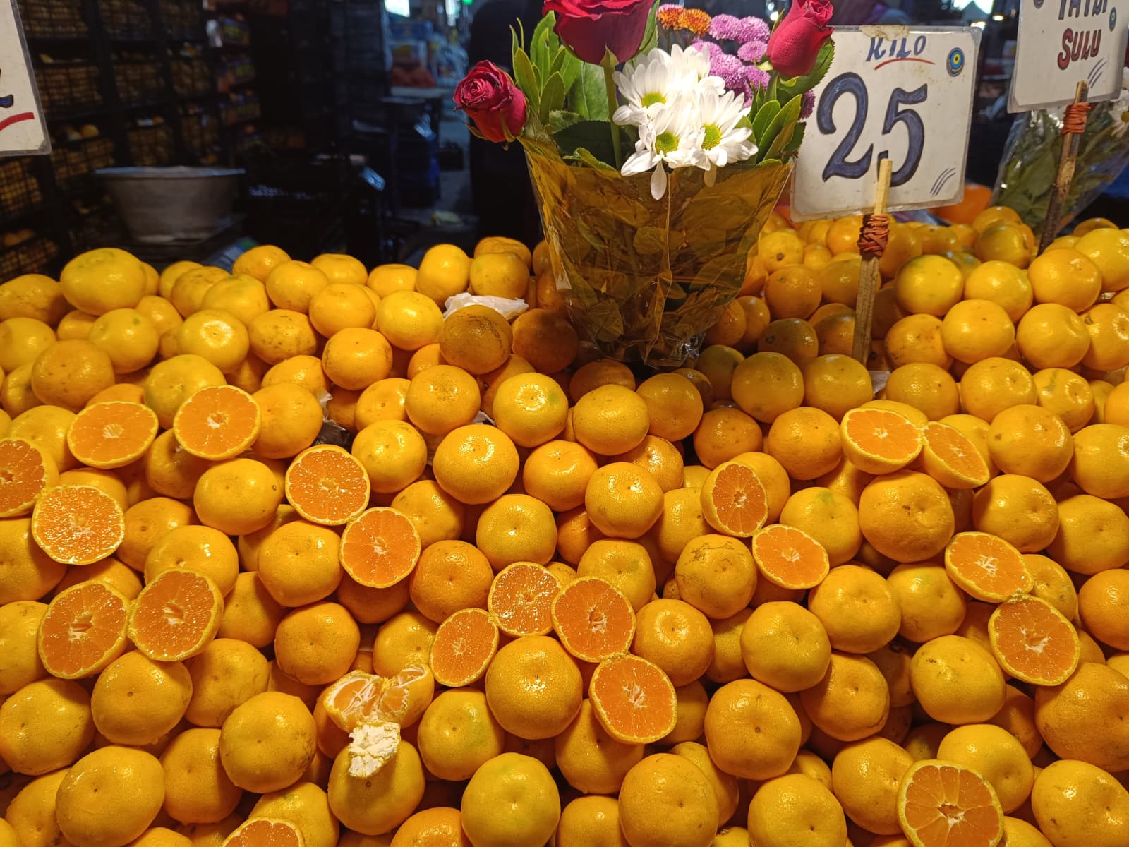 Whatsapp Image 2025 10 30 At 10.41.17