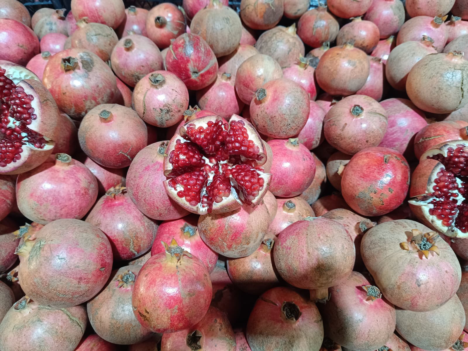 Whatsapp Image 2025 10 30 At 10.41.18 (1)