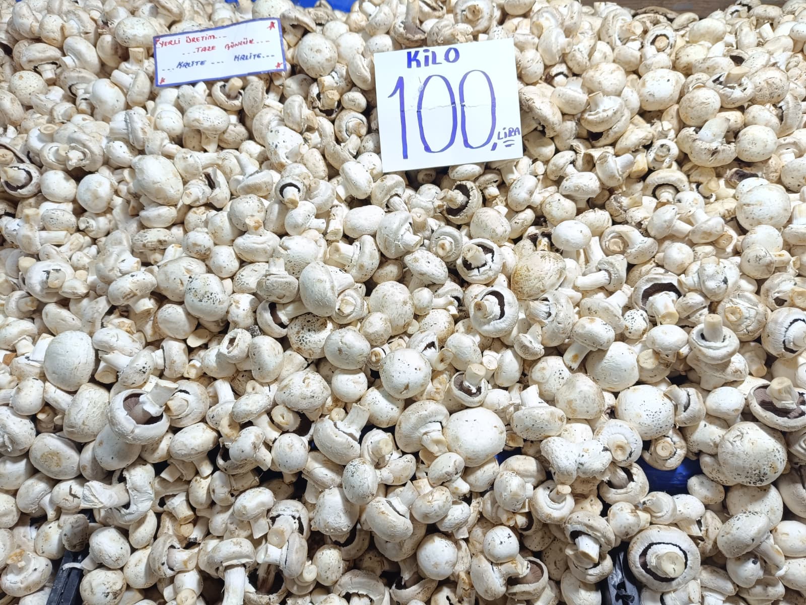 Whatsapp Image 2025 10 30 At 10.41.19 (1)