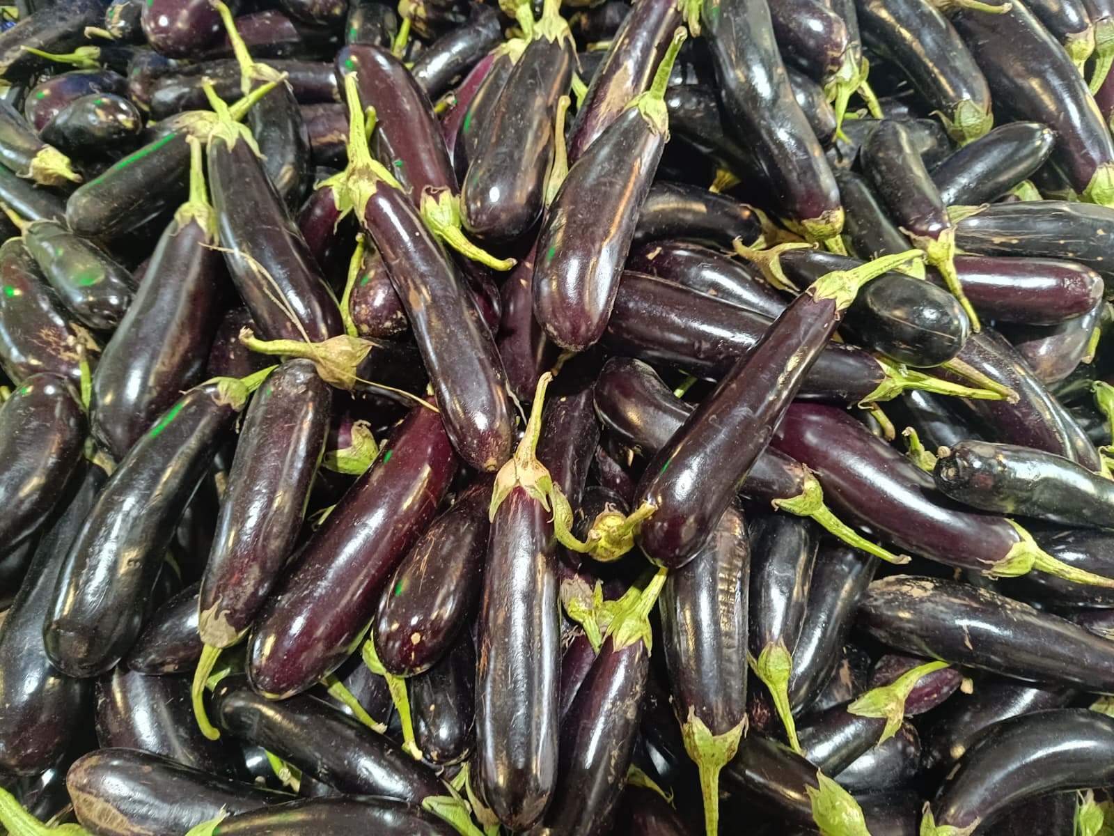 Whatsapp Image 2025 10 30 At 10.41.19 (2)