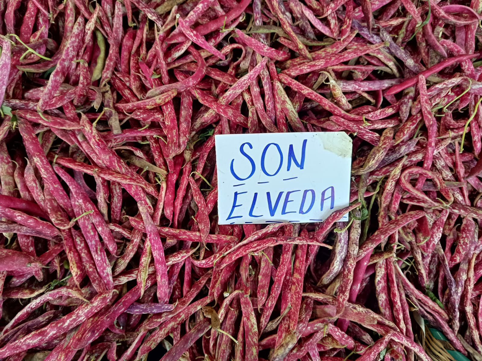 Whatsapp Image 2025 10 30 At 10.41.19