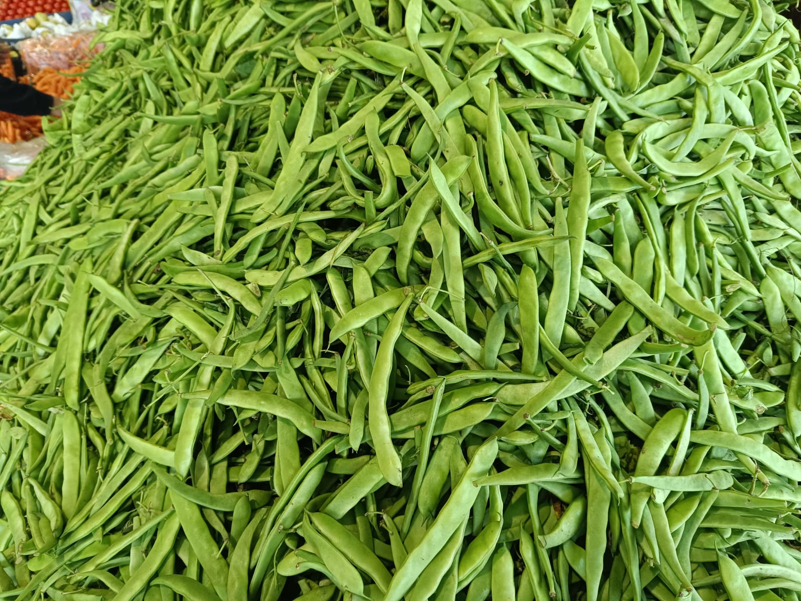 Whatsapp Image 2025 10 30 At 10.41.20 (1)