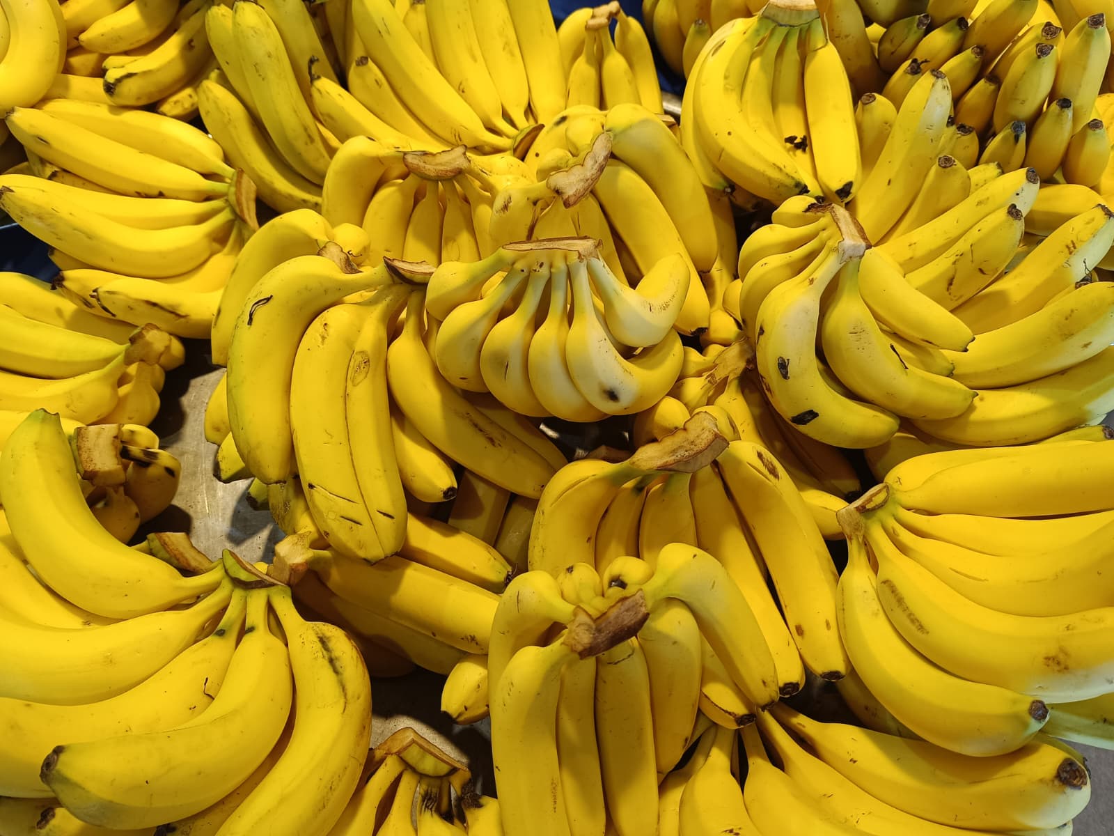 Whatsapp Image 2025 10 30 At 10.41.20