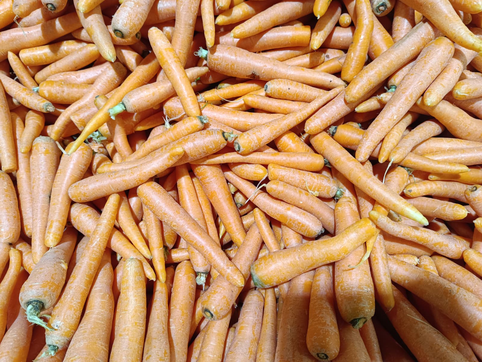 Whatsapp Image 2025 10 30 At 10.41.24