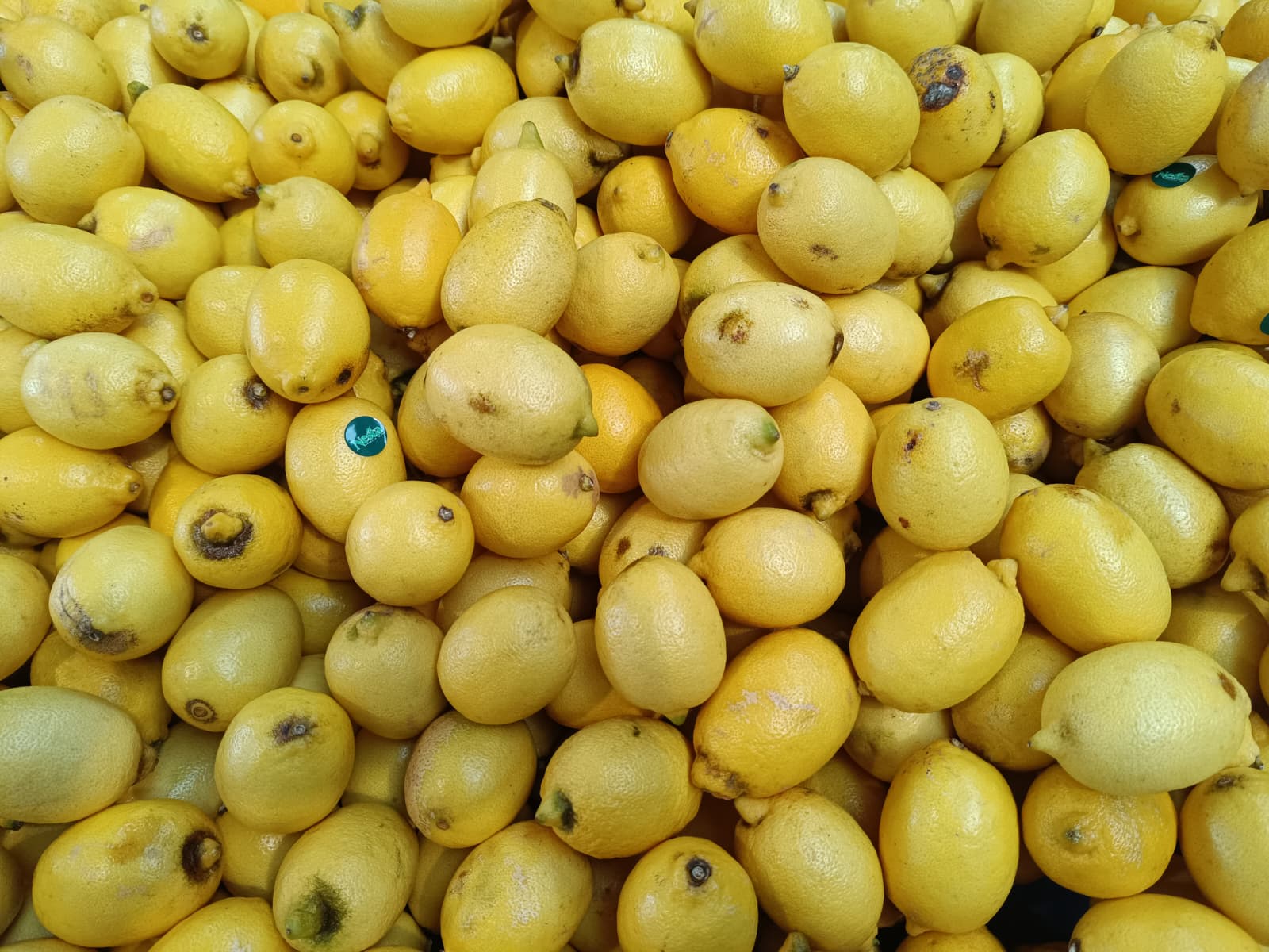 Whatsapp Image 2025 10 30 At 10.41.34 (1)