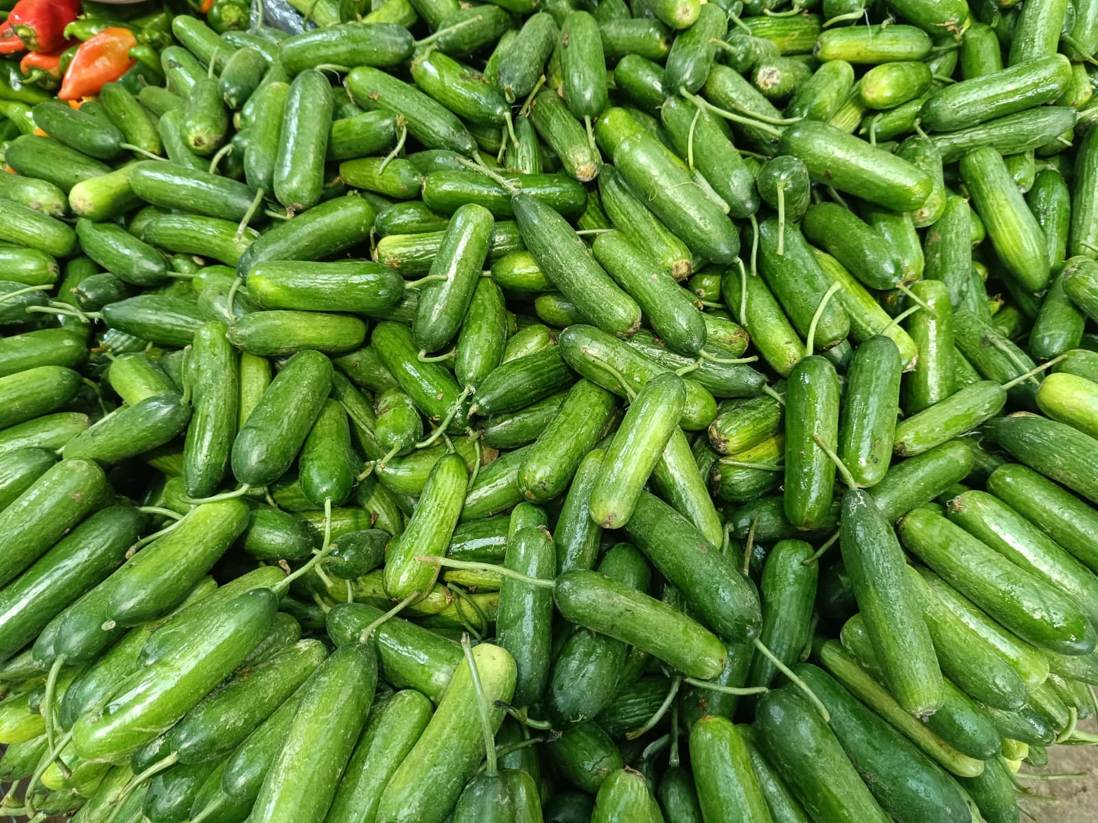 Whatsapp Image 2025 10 30 At 10.41.34