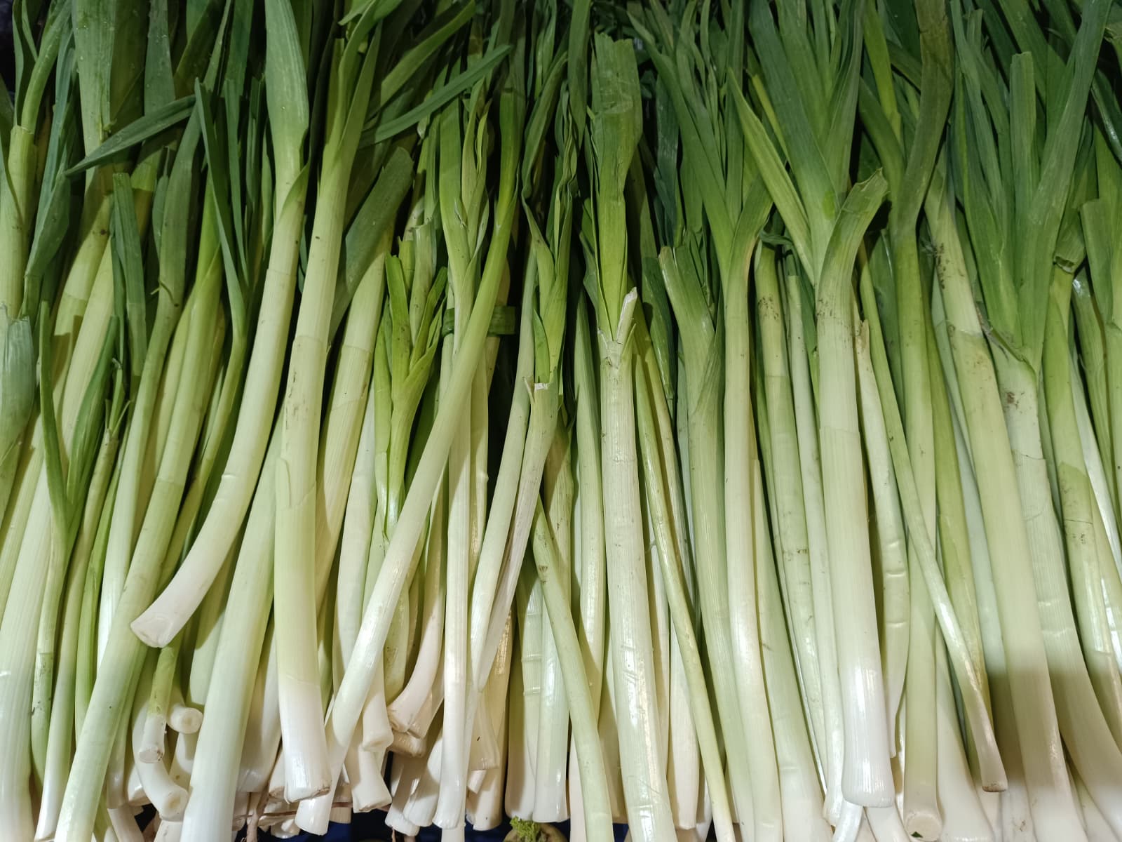 Whatsapp Image 2025 10 30 At 10.41.37