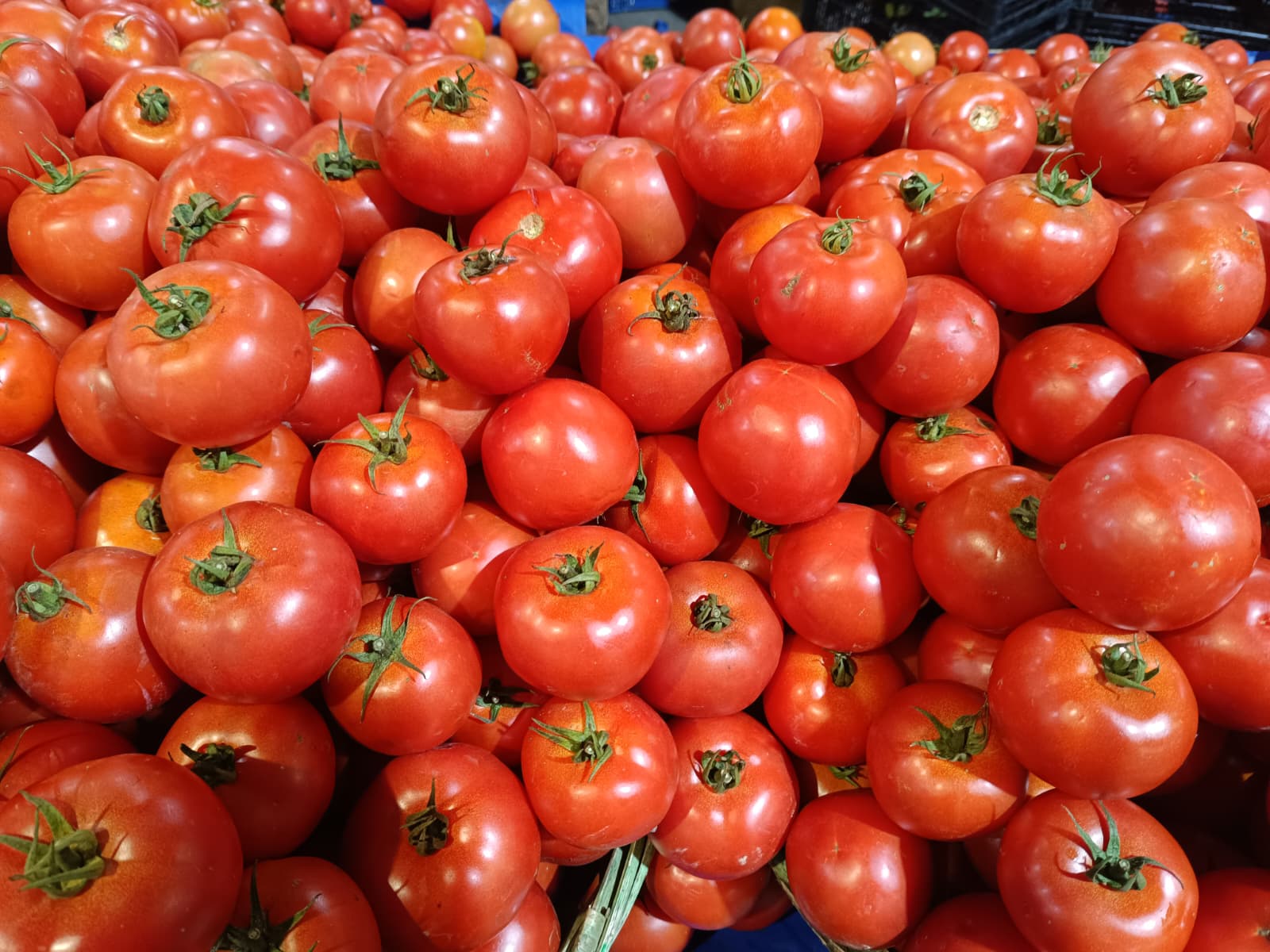 Whatsapp Image 2025 10 30 At 10.41.39