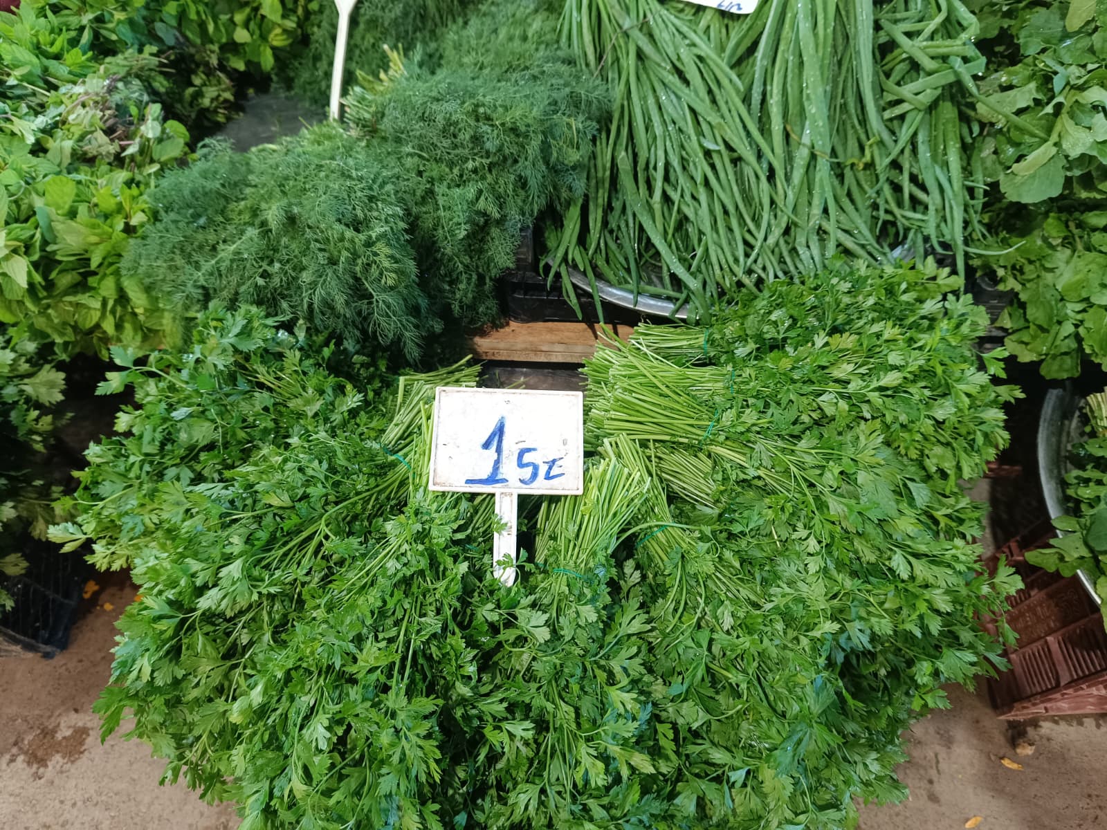 Whatsapp Image 2025 10 30 At 10.41.43