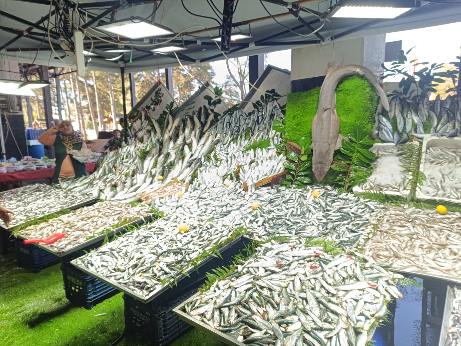 Whatsapp Image 2025 10 30 At 10.41.45