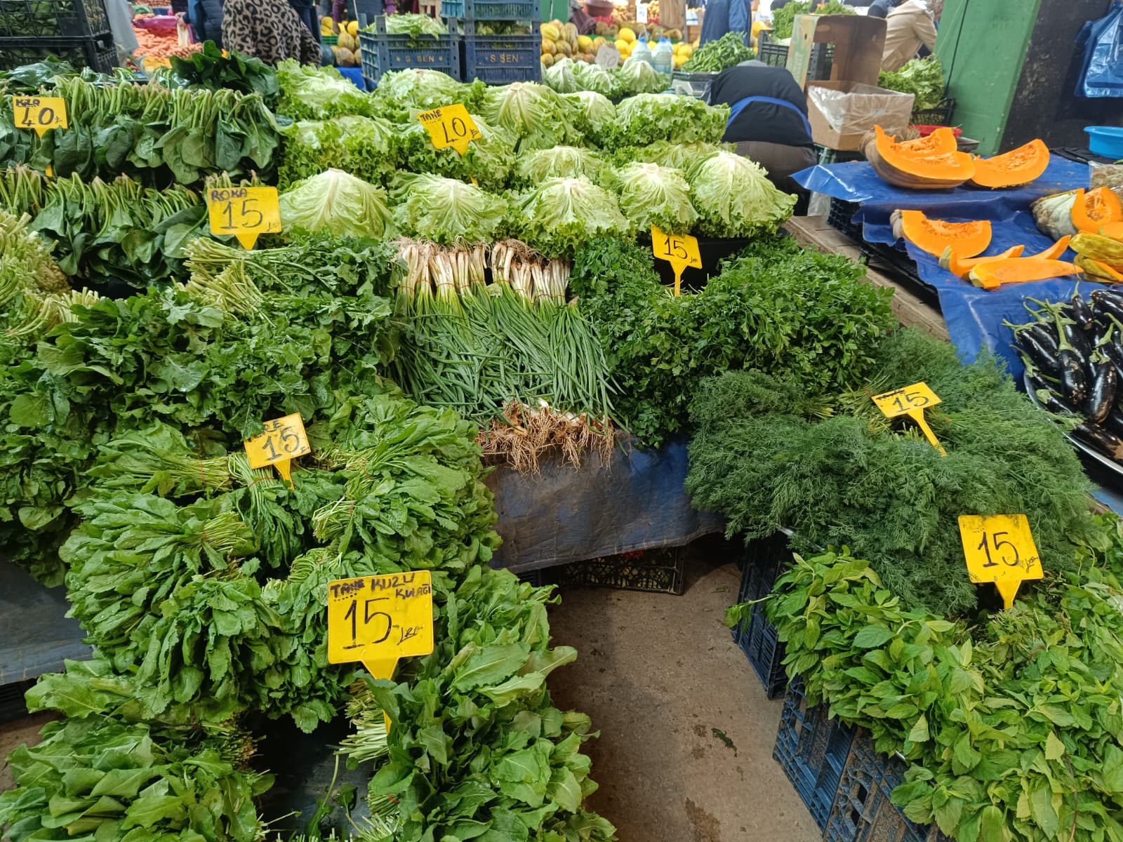 Whatsapp Image 2025 10 30 At 10.41.47