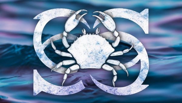 Yengec Burcu Yorumlari 1759818825