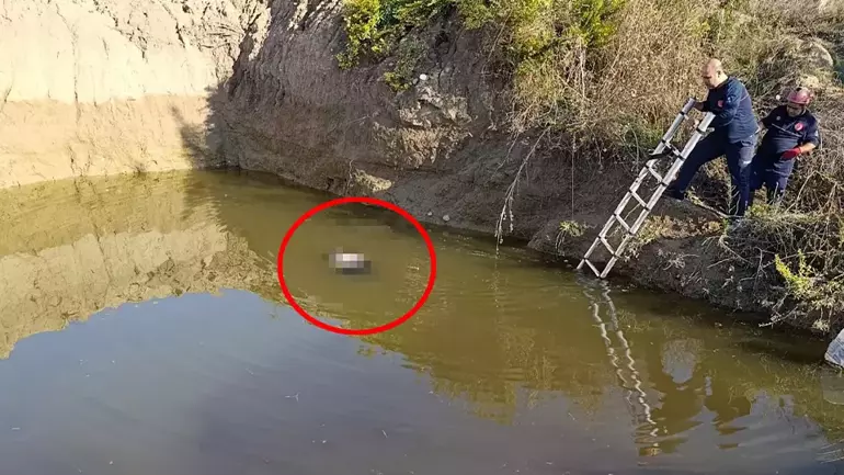 6906173Fd931A03263Cc364A