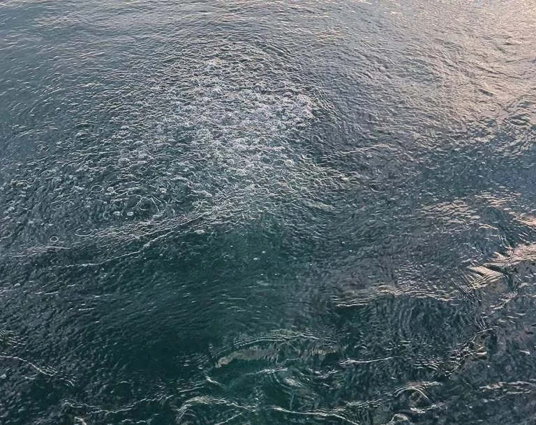 691C7C9941322A828B4Ceccf