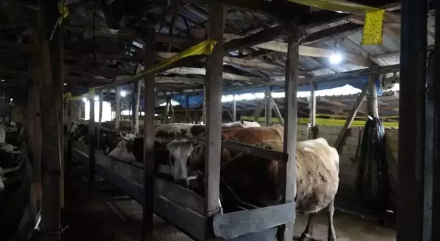 691Cb653610533A05F3A1956 (1)