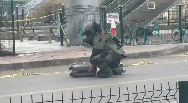 7D481938 E9D5 4549 Bf3D Bd65D4A8955B