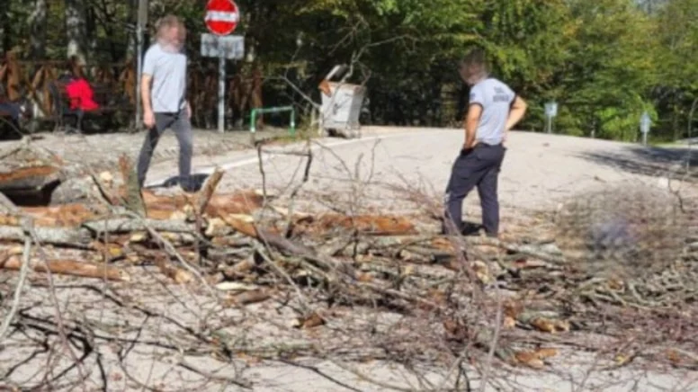 814Jpg D7Rzm Er O C U T K1 Jh D9 K R G A