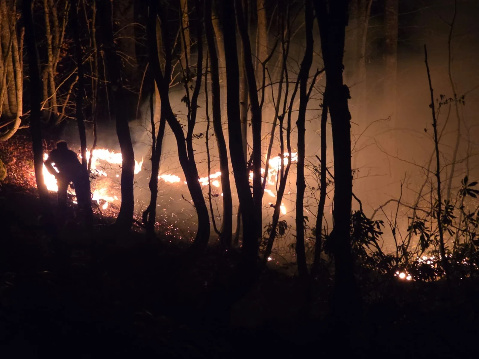 Aa202511233978693039786928Ordudacikanortuyangininamudahaleediliyorjpg Yt K K Tl Aw 0Mk I B W U Y T9 Y A