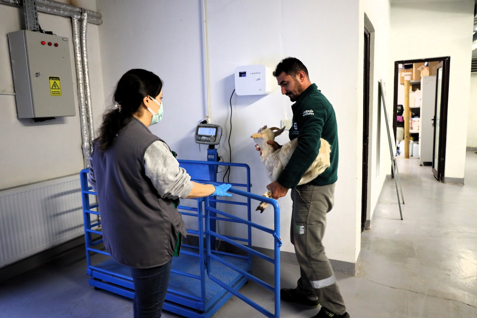 Bu Merkez Yaban Hayvanlarına Umut Oluyor (7)