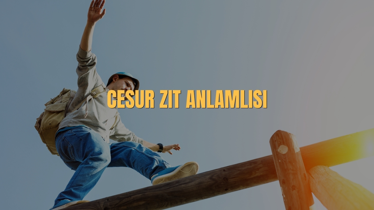 Cesur Zit Anlamlisi