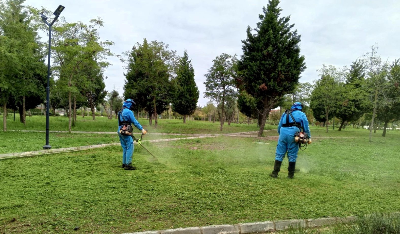 Dilovası Millet Bahçesi Dip Köşe Temizleniyor (5)