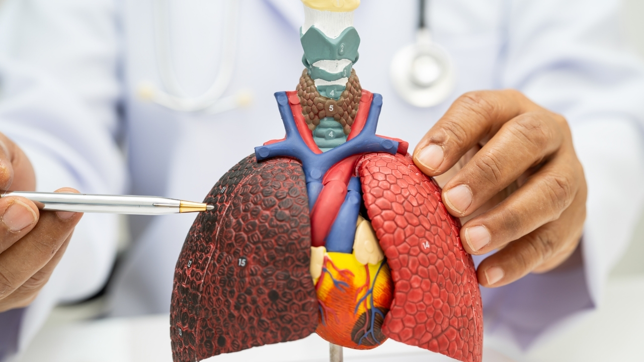 Dunya Zaturre Gunu 12 Kasim