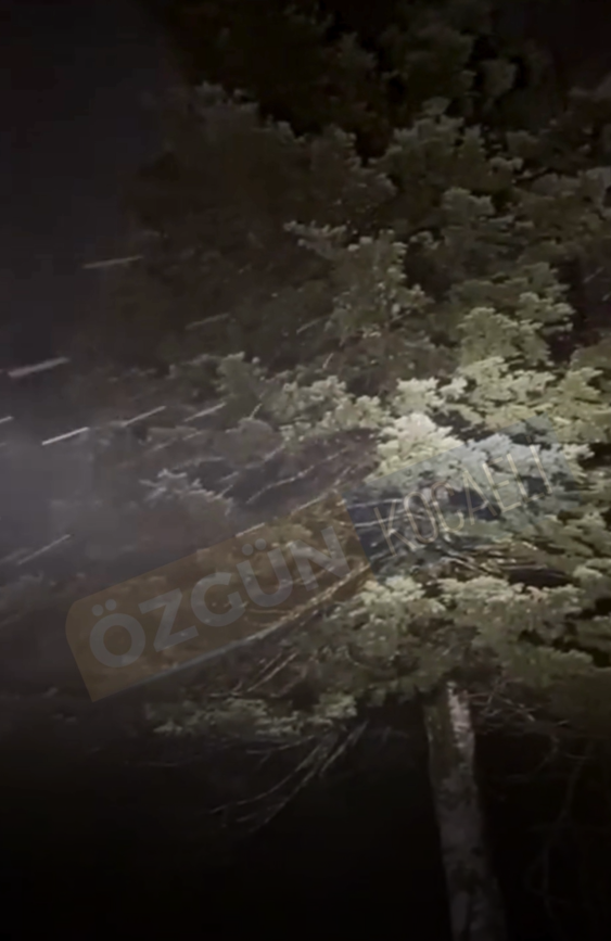 Ekran Görüntüsü 2025 11 30 212626