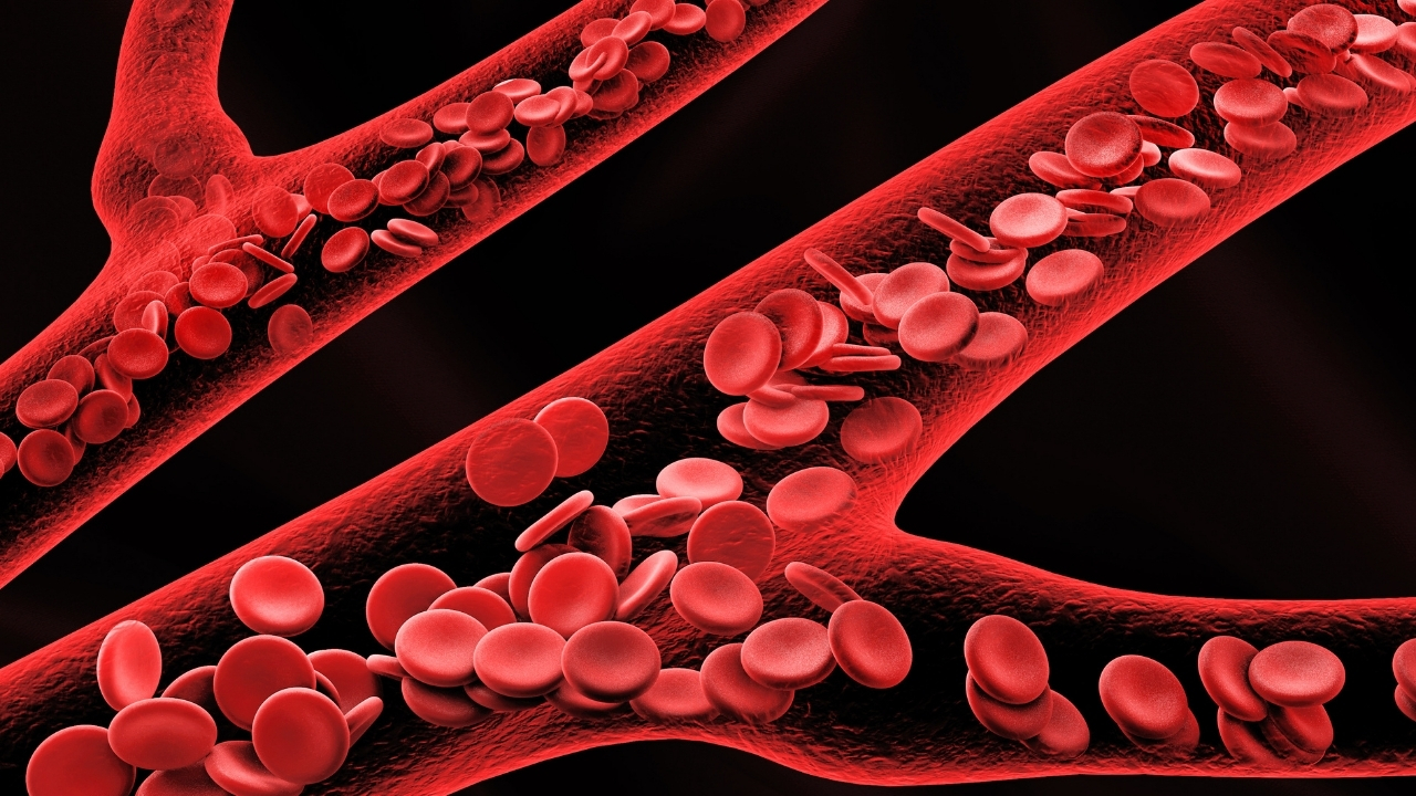 F O2 H B Degeri Dusukluğu Nedir