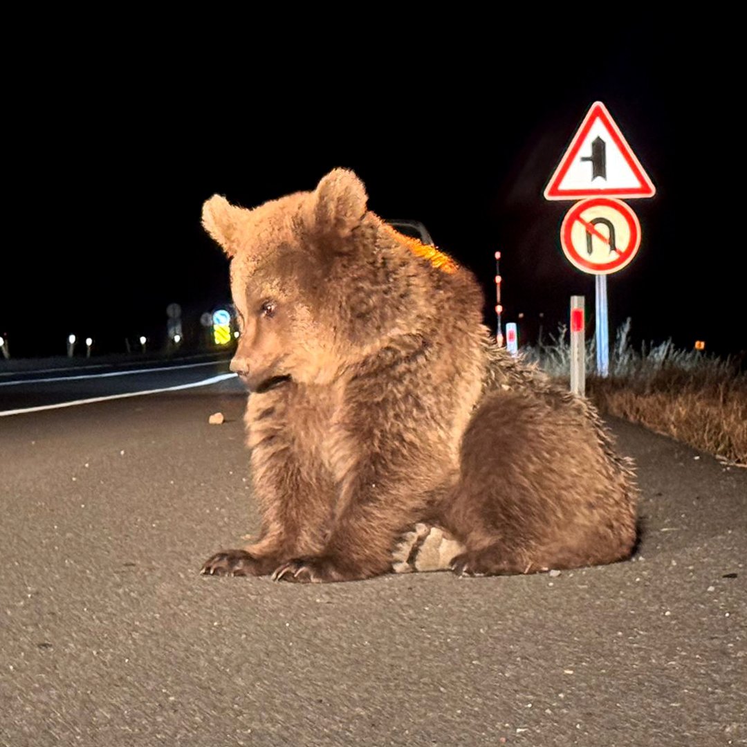 G5 Erq N M X U A A Vd S F