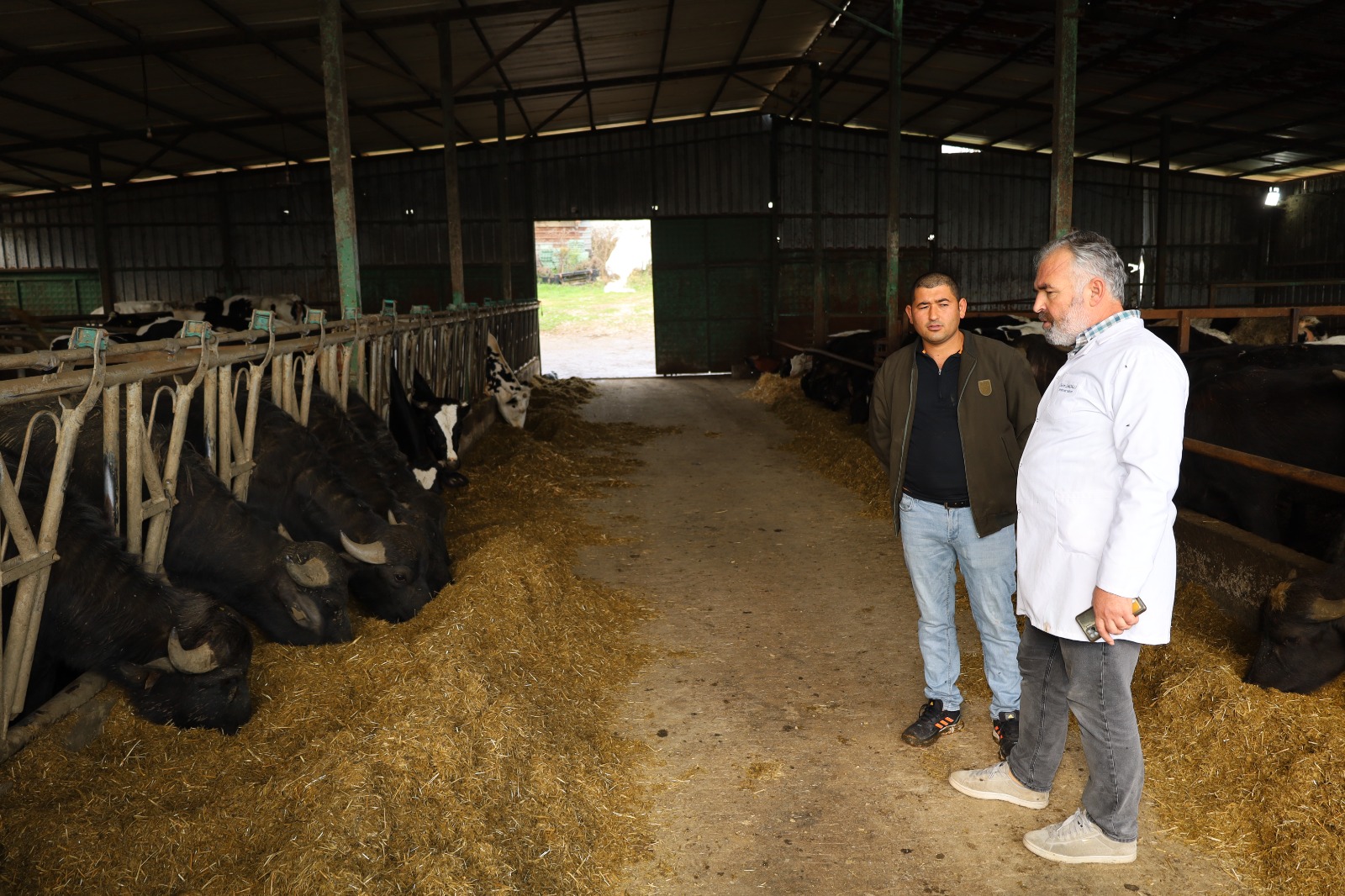 Kocaeli'de Manda Sayısı Büyükşehir'in Desteğiyle Arttı (2)